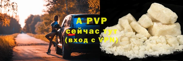 мдпв Кукмор
