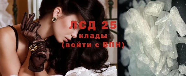 стафф Вяземский