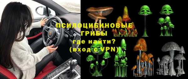 твердый Карпинск